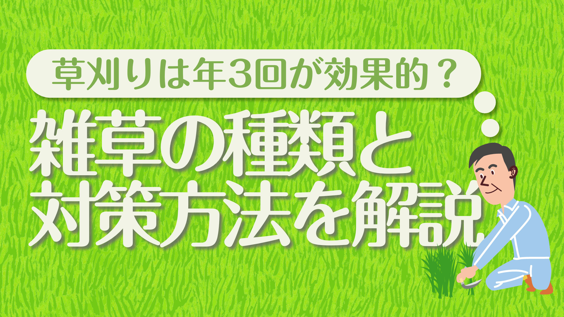 草刈りは年3回が効果的？雑草の種類と対策方法を解説