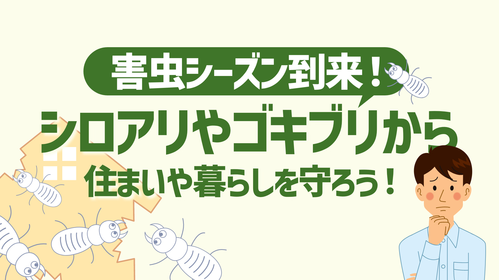 害虫シーズン到来！シロアリやゴキブリから住まいや暮らしを守ろう！