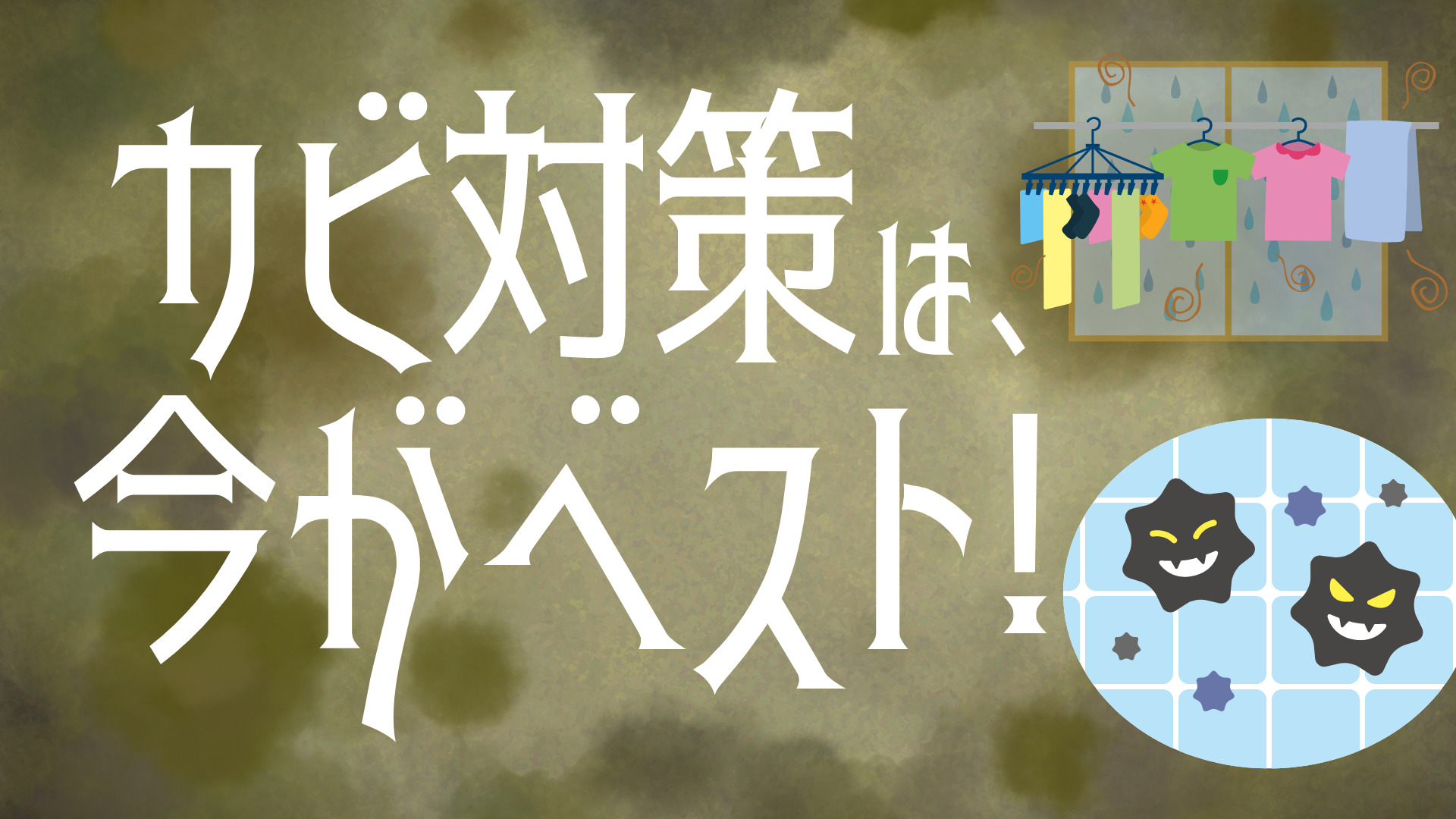 カビ対策は、今がベスト！